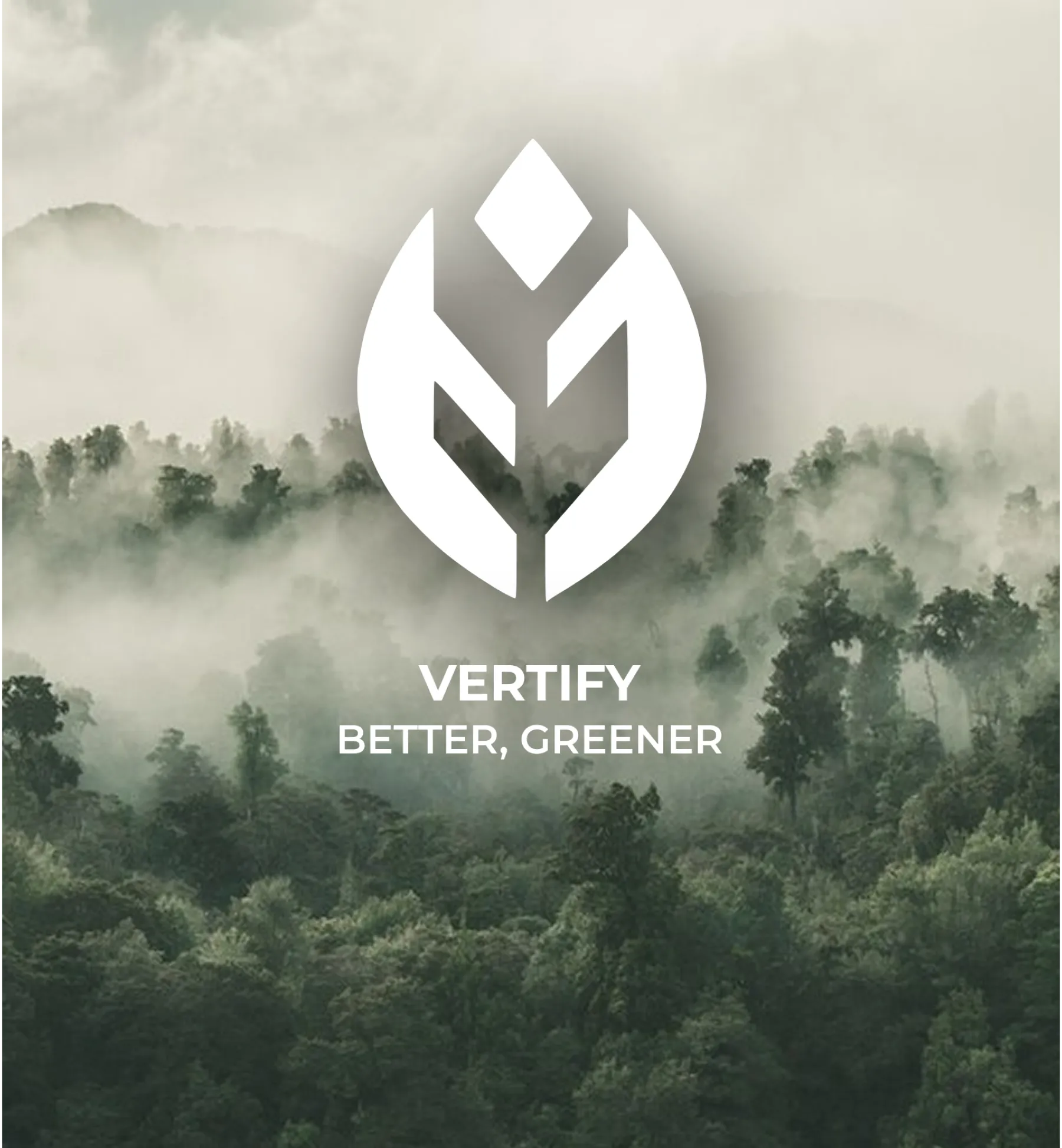 Projet Vertify - Aperçu du design